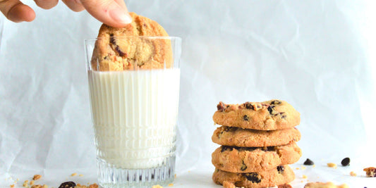 The Endless Delight of a Chocolate Chip Cookie