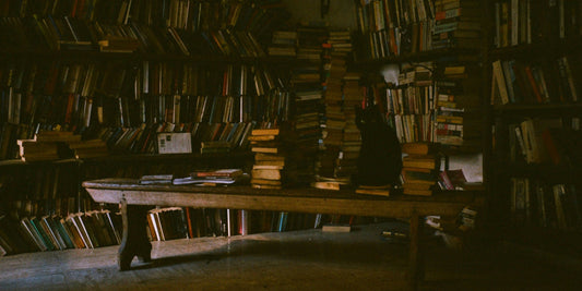 No One Ever Talks About the Book Wolves