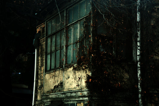 A Short Story Involving Cats, Ghosts, Wardrobes, & Housekeeping